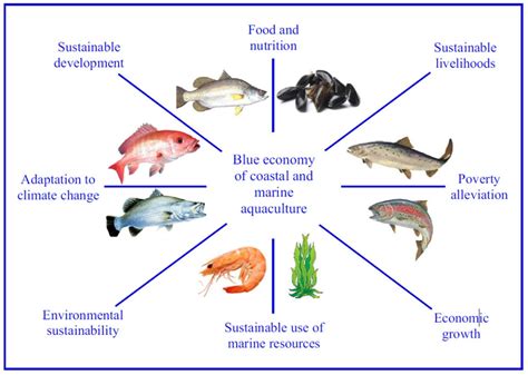 Mariculture — Ecological and Genetic Aspects of Production.